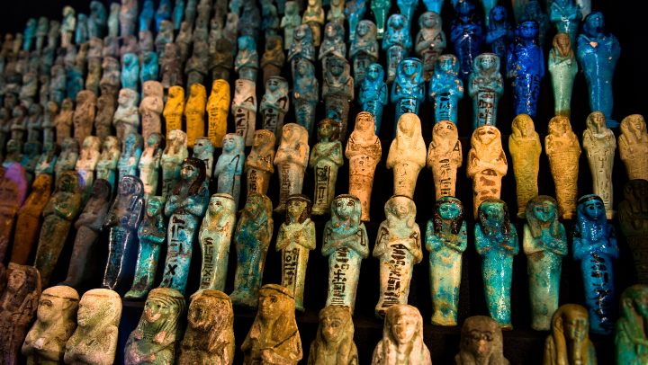 Rows of archaeological artifacts