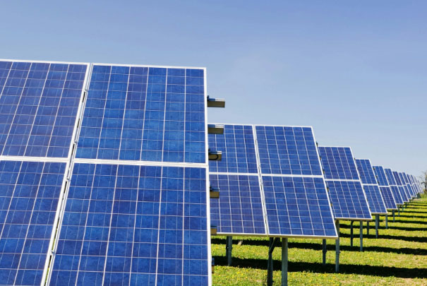 Solar panels in a field