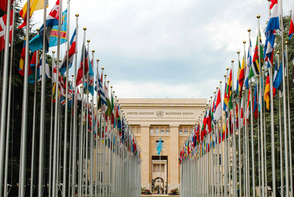 Nations flags along a driveway with a state building at the end