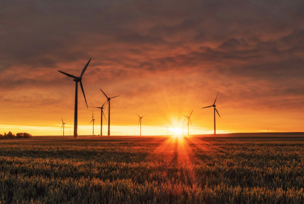 Wind farm in the sunset