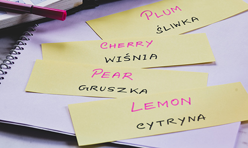 Language flashcards showing English and Polish vocabulary words.
