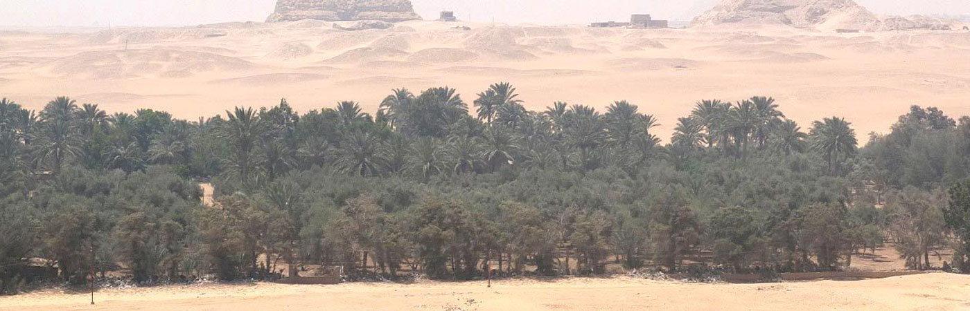 Egyptian landscape.