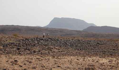 Harrat al Birk