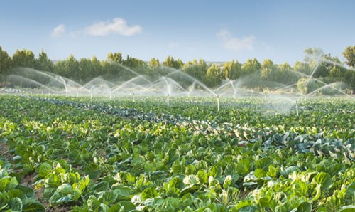 A water irrigation system