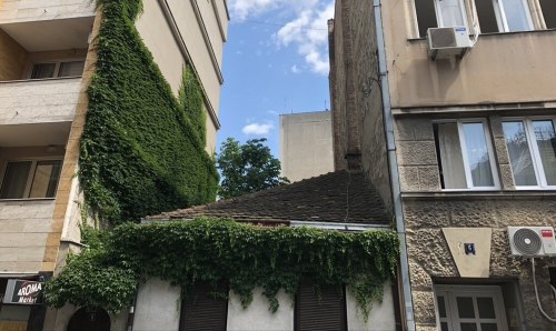 Green wall on an apartment building in Serbia