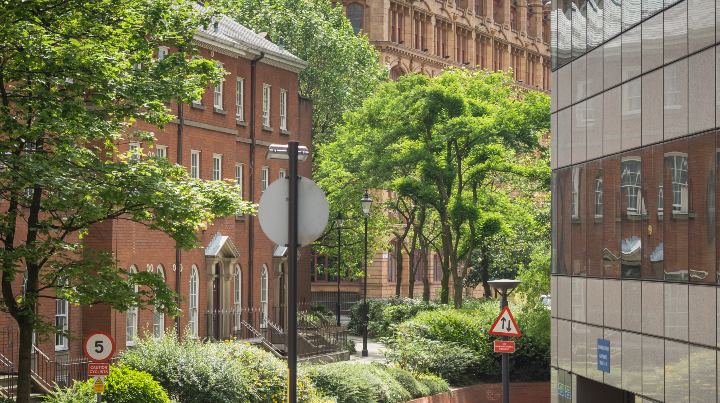 Law buildings surrounded by trees