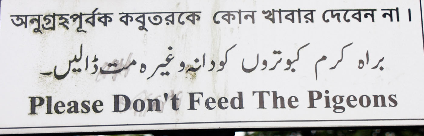 Sign that says don't feed the pigeons