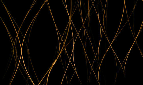 Thin golden strands crisscross against a black background, forming an abstract web of glowing intersecting lines.