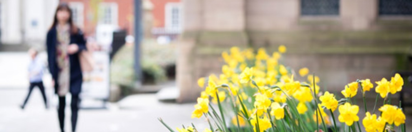Flowers on campus.