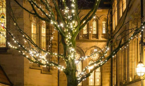 Tree with lights in