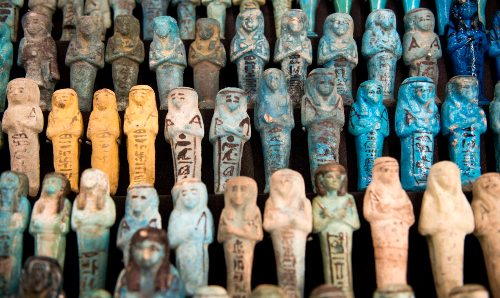 Man holding lizard doing demonstration to students in museum