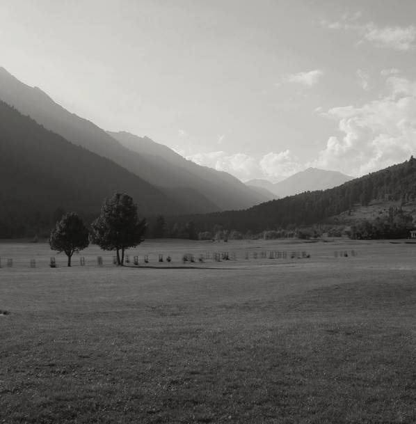 Fields and mountains 