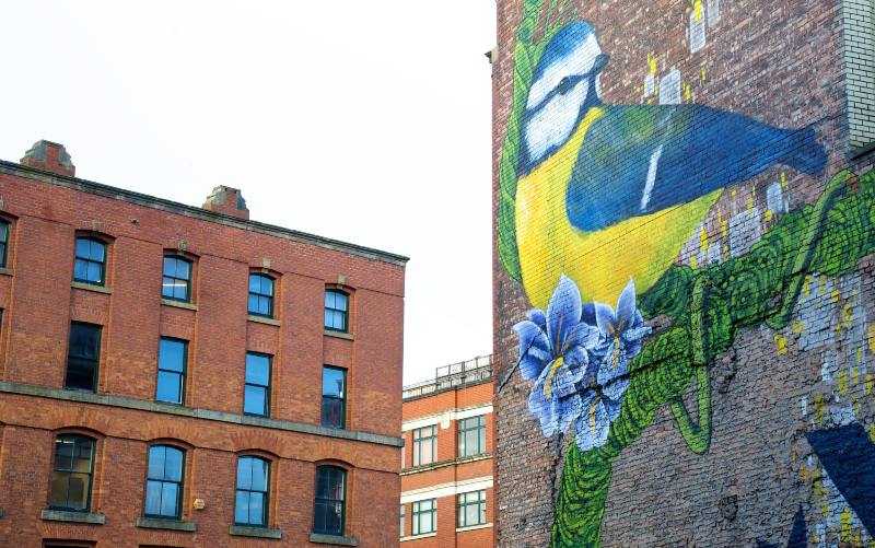 Graffiti of a bird on the side of a red brick building