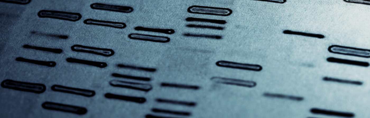 Human genome