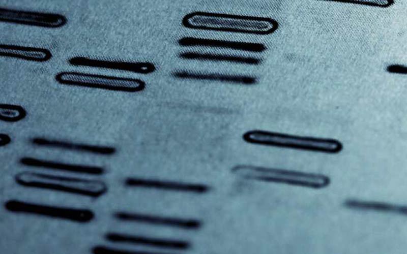 Human genome read-out