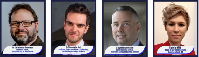 Dr Christopher Anderson, Dr Thomas Le Goff, Dr Øyvind Toftegaard and Valerie Höß