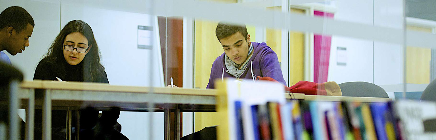Academics and students working