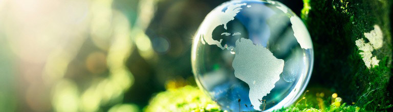 Picture of a glass globe