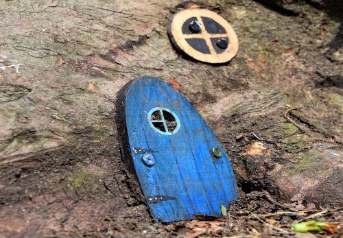 Blue fairy door and window on tree trunk