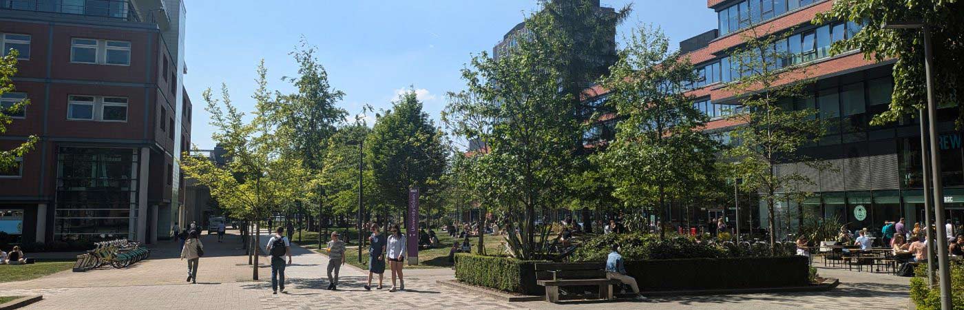 People walk and relax in a sunny pedestrian area with trees, benches, and the university building.