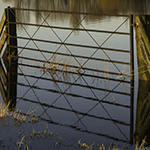 Flooded field with gate