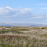 Peatlands with sky