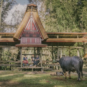Traditional Tongkonan house in Indonesia with people seated below and a buffalo standing in front.