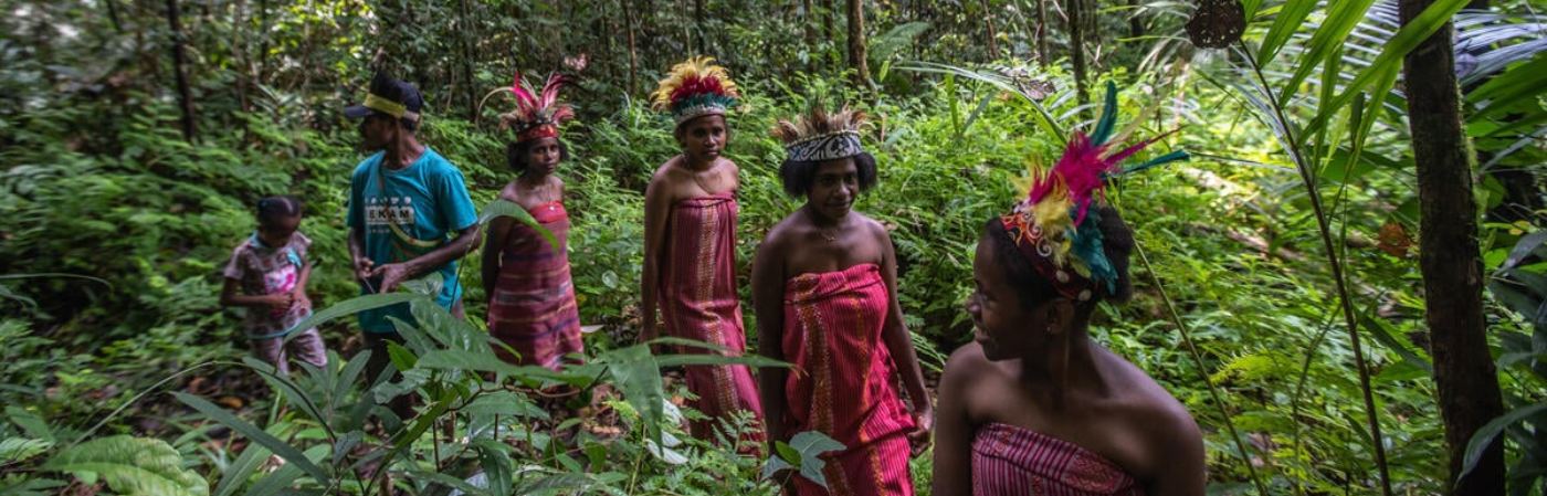 Group of Indigenous people in traditional attire and feathered headdresses walking through lush green forest vegetation.