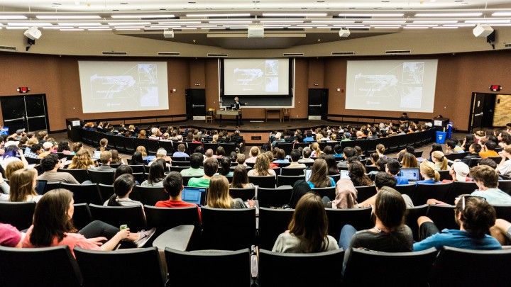 People sitting in a University lecture hall.