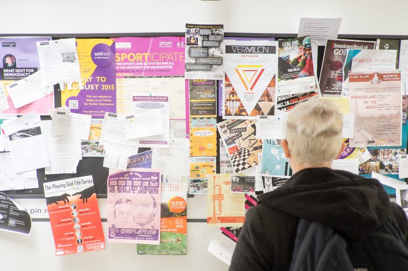 Student looking at a noticeboard