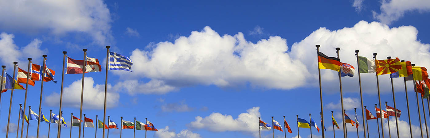 International flags in the skyline